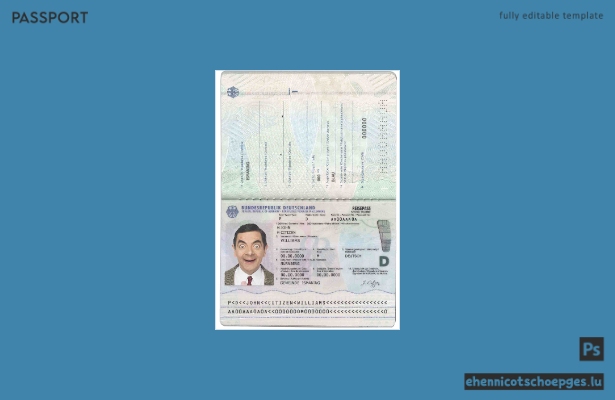 Deutschland-Pass 2017 – heutige Beispielvorschau
